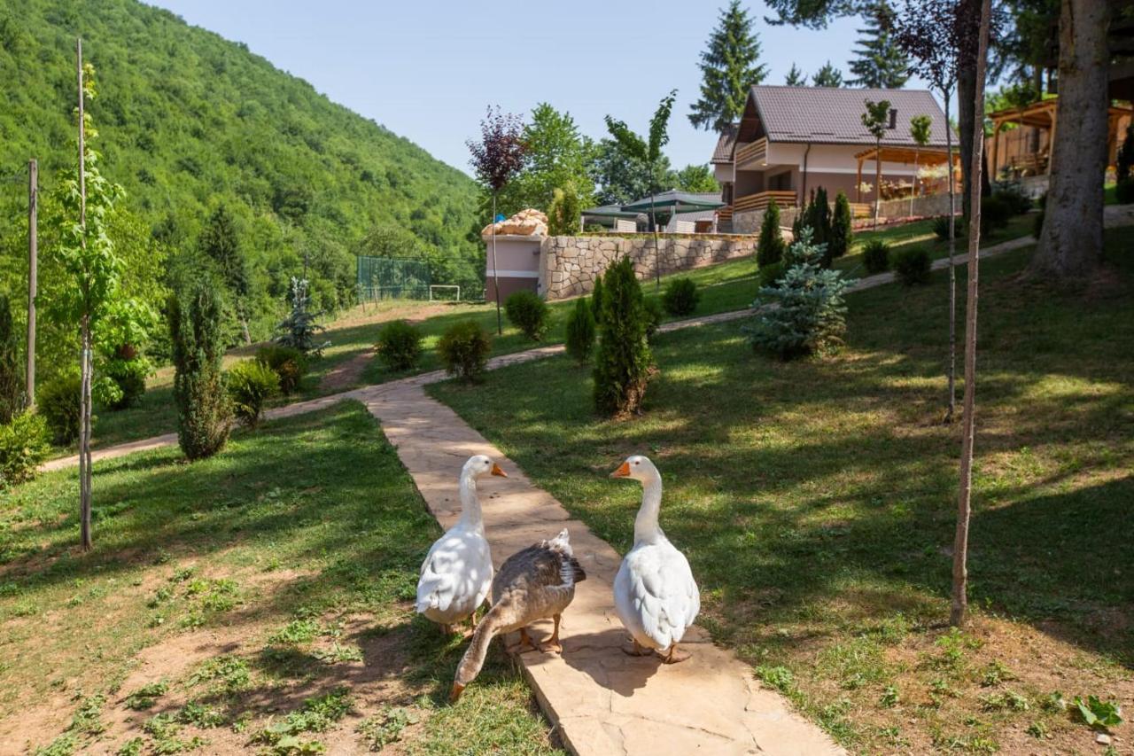 Vila Jasen - Bjelasnica Сараево Экстерьер фото